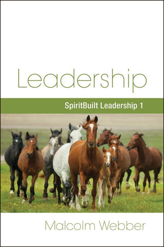 Leadership: SpiritBuilt Leadership 1 (eBook - PDF Download)